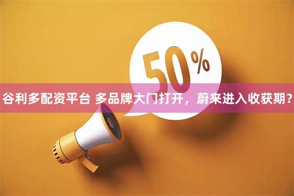 谷利多配资平台 多品牌大门打开，蔚来进入收获期？