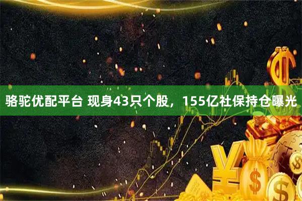 骆驼优配平台 现身43只个股，155亿社保持仓曝光