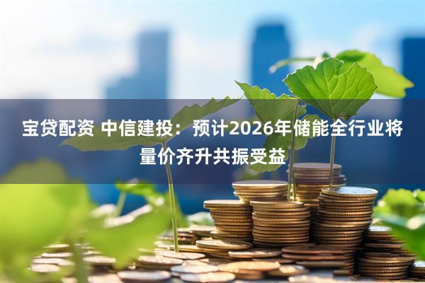 宝贷配资 中信建投:预计2026年储能全行业将量价齐升共振受益