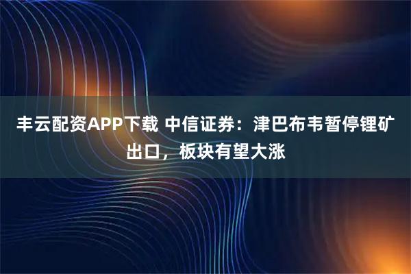 丰云配资APP下载 中信证券：津巴布韦暂停锂矿出口，板块有望大涨